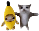 :ehquestcequetudistoidabord: