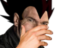 :zizou_vegeta1: