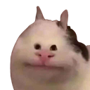 :chatsourire_petitsyeux:
