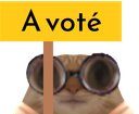 :ChaVote: