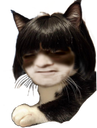 :Hihi_Miaou:
