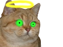 :chat_bionique: