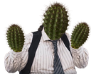 :cactus_goodenough:
