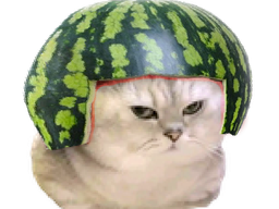 :chatbrushingpasteque: