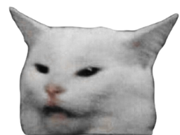 :argument: