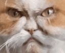 :Chat_nrv2: