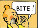:tintinbite: