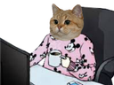 :chat35: