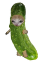 :Charnichon: