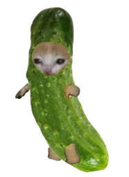 :Charnichon: