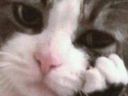 :chatblase1: