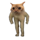 :chat_colerique: