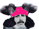 :chinchilla_slip: