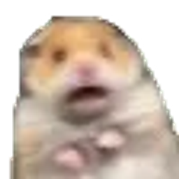 :jaipeur: