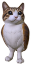 :Meowl: