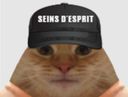 :chat_seins_esprit: