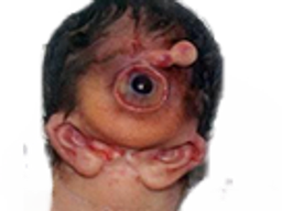 :consanguin_: