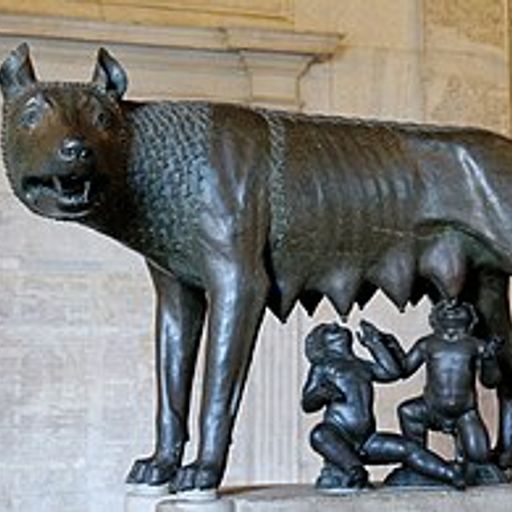 LiberumLupus