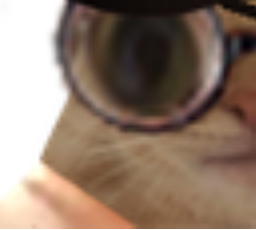 :Chat_Pirate3: