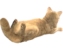 :chatlong: