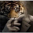:sigma_tigre: