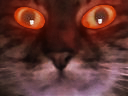 :Chalefique: