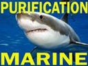 :purification_marine: