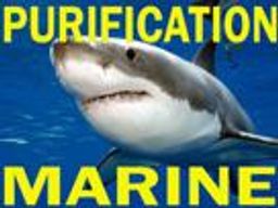 :purification_marine: