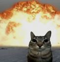 :Chat_BOOM: