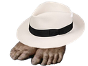 :wonkifeet: