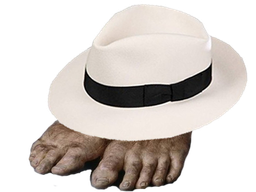 :wonkifeet: