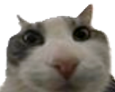:pouet: