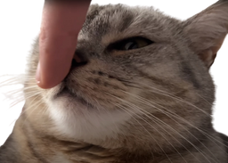 :Chatchut: