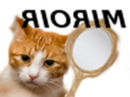 :riorim: