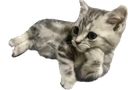 :chatpensif: