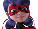 :ladybug_contente: