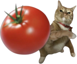 :Chatom: