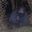 Photo de profil de Bumdesbois_