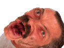 :Risicash_gif: