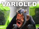 :Monkeypoxed: