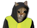 :sodium_gilet: