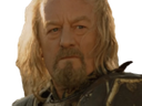 :Theoden_lotr: