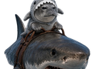 :phoque_requin: