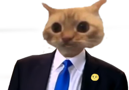 :Chatonchent: