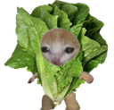 :chasalade: