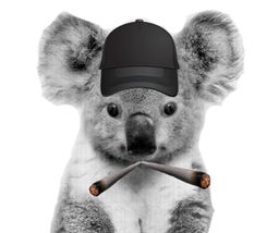 :KoalaJoint: