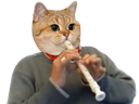 :sodium_pipo: