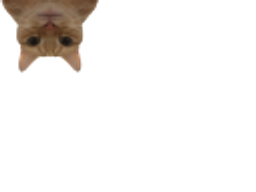 :minichat2: