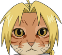 :Edward_chat: