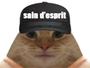 :chat_sain: